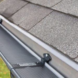 gutter guard 1